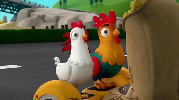 Pups save a runaway rooster