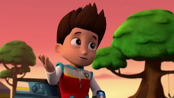 Pups and the mystery of the missing cell phones