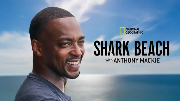 Shark Beach with Anthony Mackie: Gulf Coast