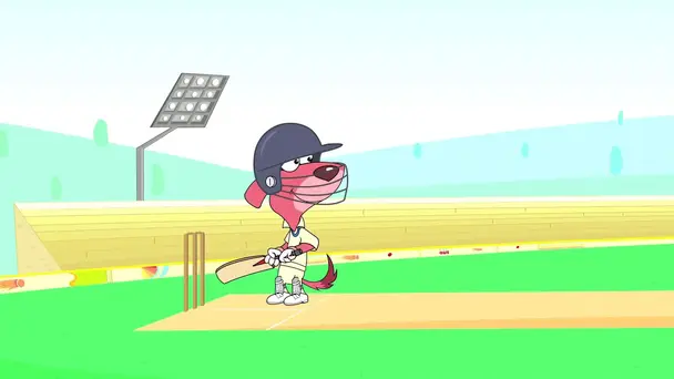 Cricket Star Don