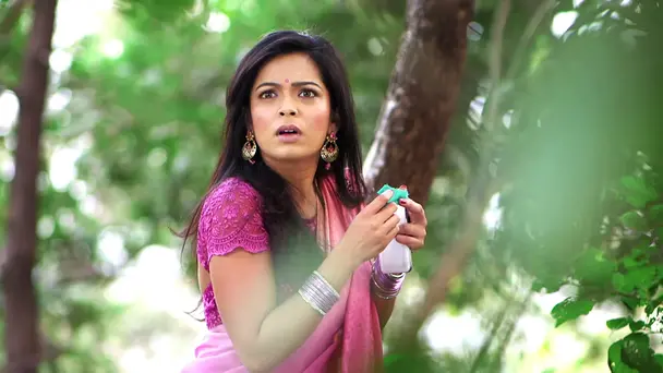 What Is Maithili's Plan?