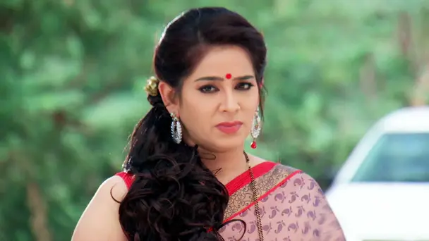 What Is Indra's Plan?