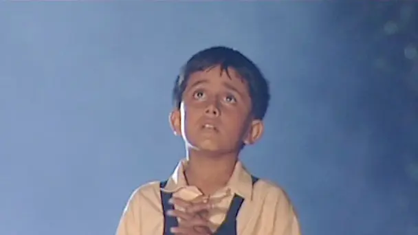 Allen Lost in the Forest