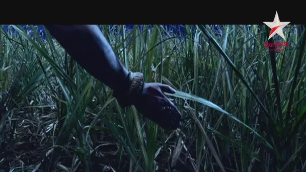 Shakuni wants to stop the wedding