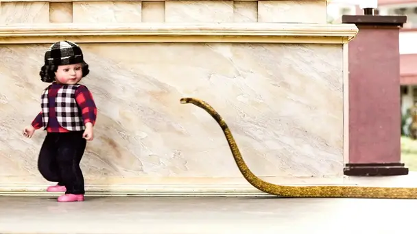A Snake Follows Neeli