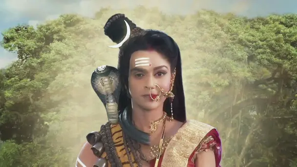 Mahadeva's Ardhanarishvara Form