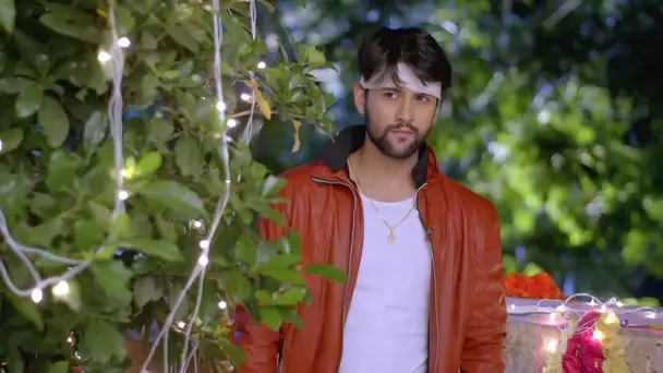 Will Krishna's Plan Work?