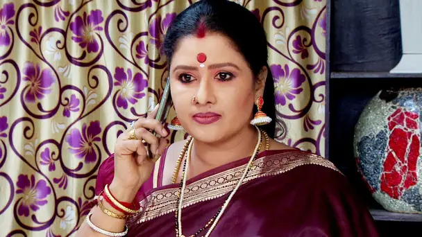 Will Mayavathi's Plan Work?