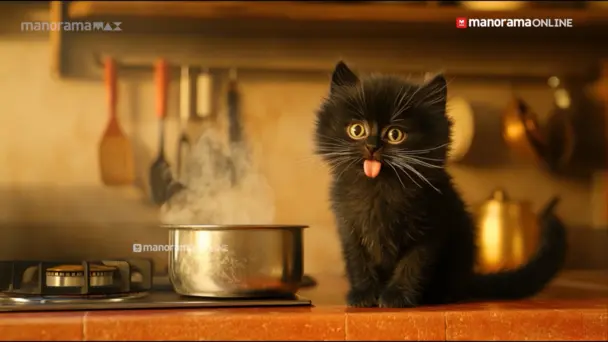 Kids Stories & Songs S1 E4 - Kochu Poochu - Songs