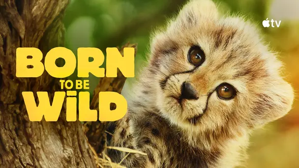 Born to Be Wild