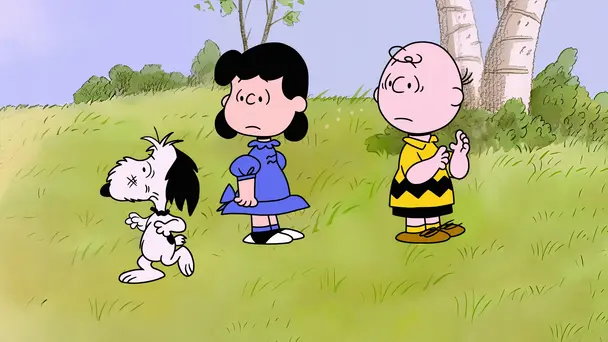 Snoopy’s Cat Fight