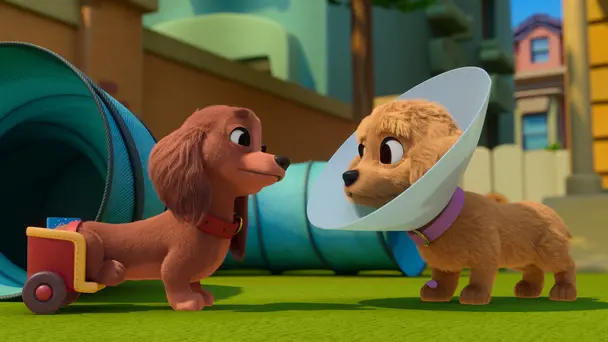 Bowl Them Over / Cone-Do