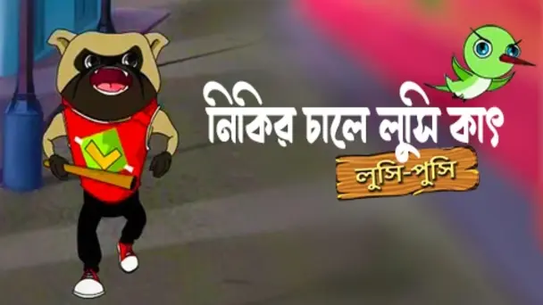 Nikir Chale Lusi Kat