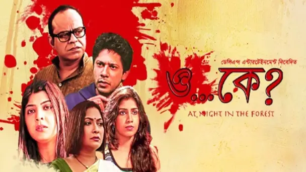 O Kay At Night In The Forest