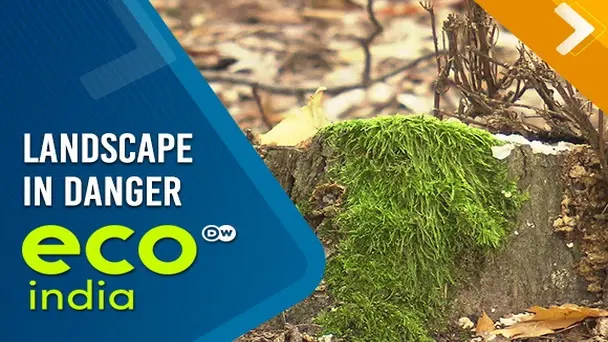 Landscape in danger