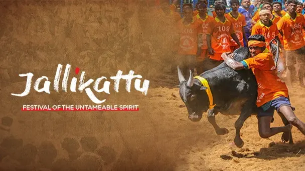 Jallikattu-Festival Of The Untameable Spirit