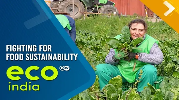 Fighting for food sustainability