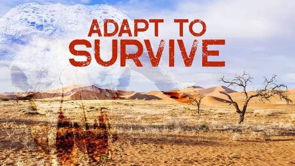 Adapt To Survive