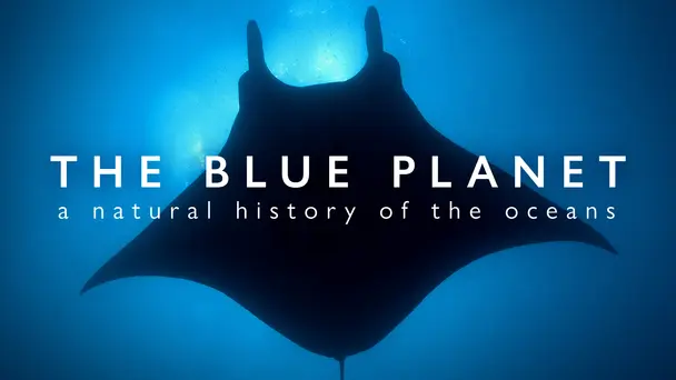 Blue Planet II