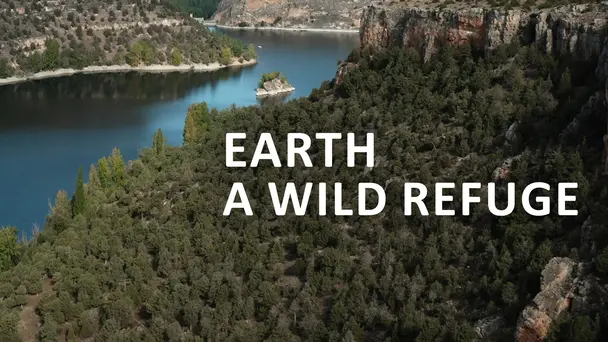 Earth: A Wild Refuge