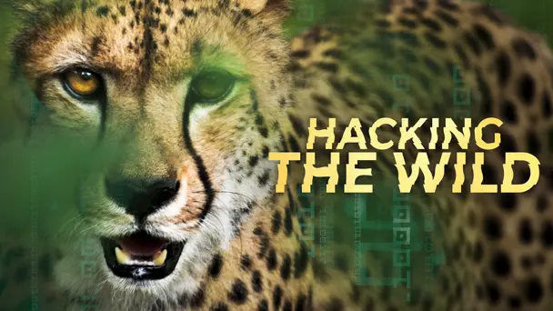 Hacking the Wild