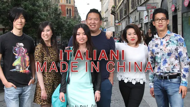 Italiani Made In India D+ Version