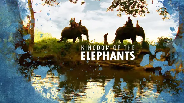 Kingdom Of The Elephants