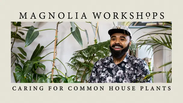 Magnolia Workshops: Caring for Common Houseplants