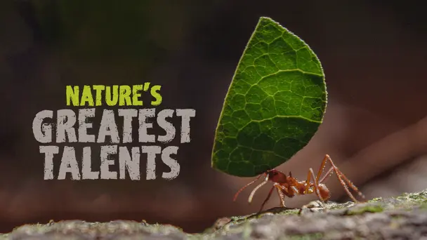Nature's Greatest Talents