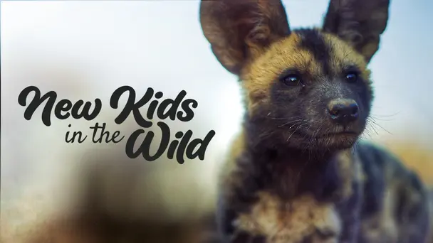 New Kids in the Wild