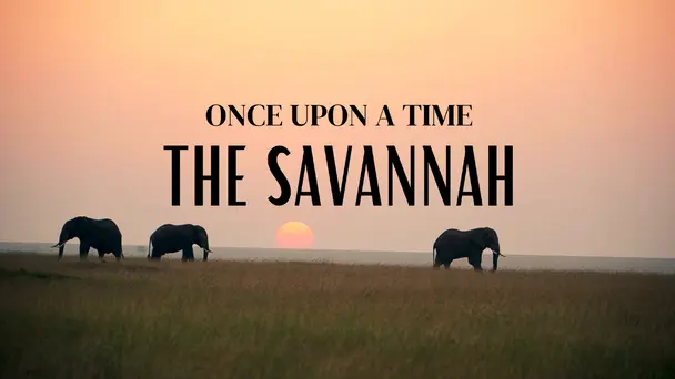 Once Upon A Time: The Savannah