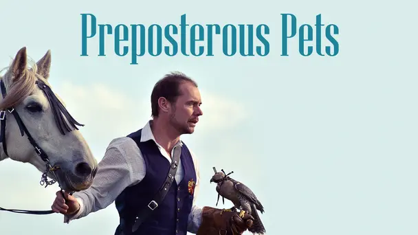 Preposterous Pets