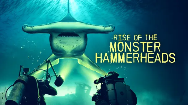 Rise of the Monster Hammerheads
