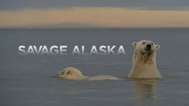 Savage Alaska