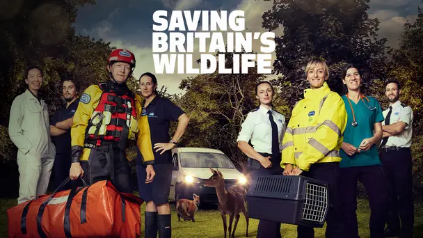 Saving Britain's Wildlife