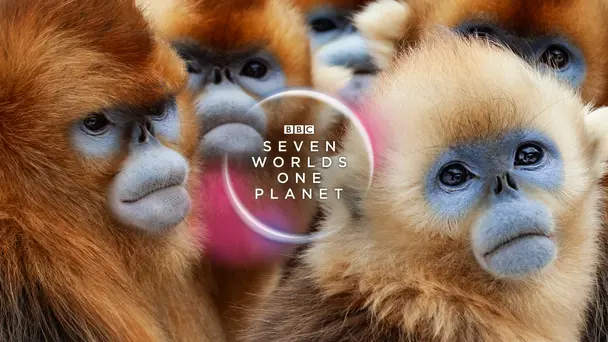 Seven Worlds, One Planet