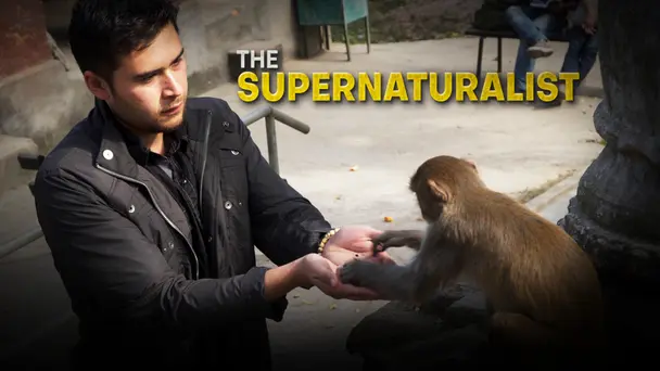 Supernaturalist, The