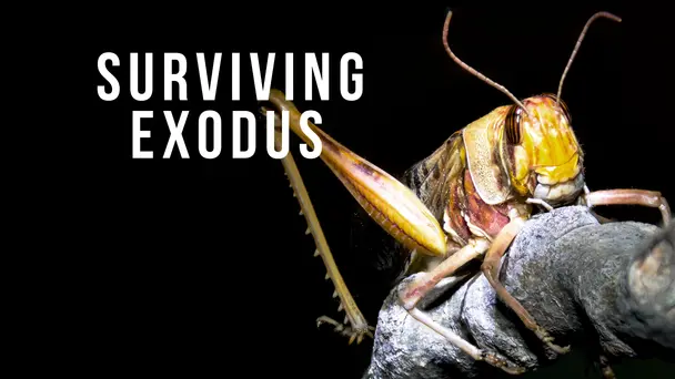 Surviving Exodus