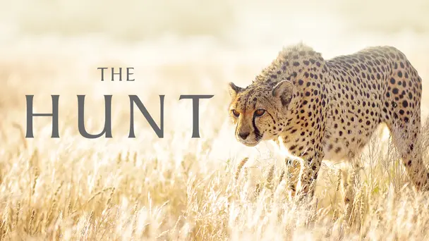 The Hunt