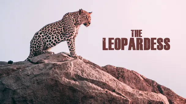 The Leopardess