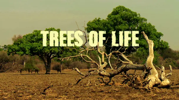 Trees of Life