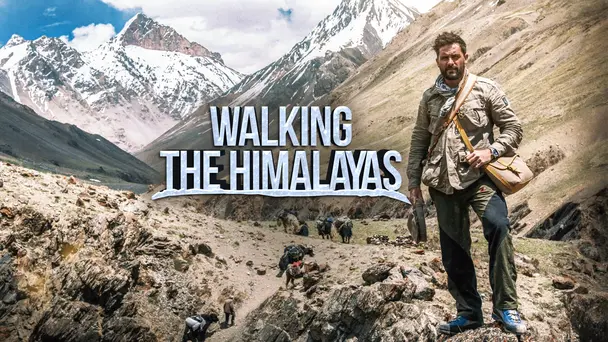 Walking the Himalayas