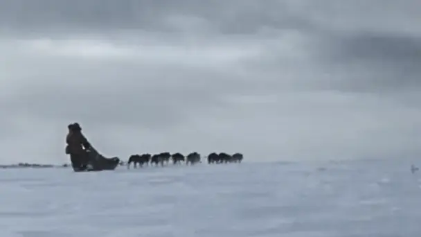 Nightmare Below Zero