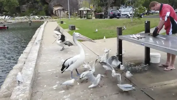 Off the Counter Mom...