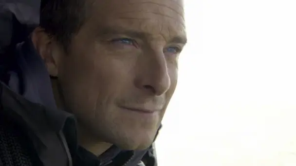 Bear's Mission With...