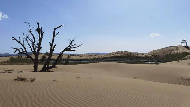 When Games Meet Sci...