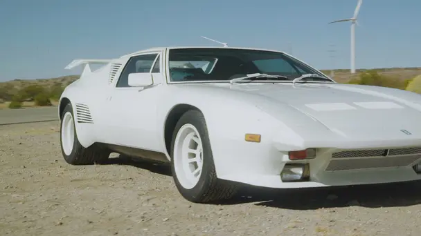 Shelby's Secret Pro...