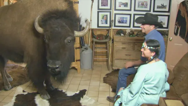 Crafty Critters and...