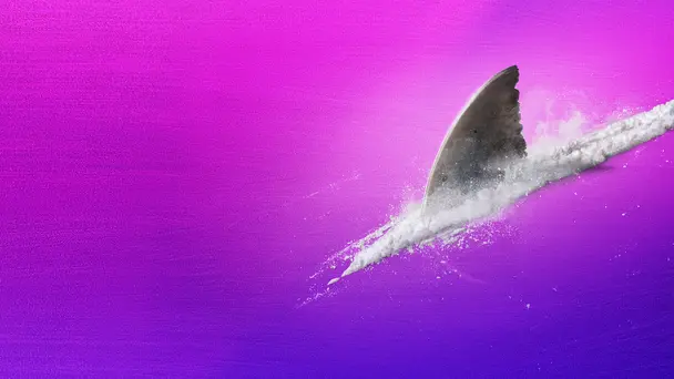 Cocaine Sharks (Sha...