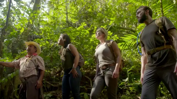 Declassified Breakt...